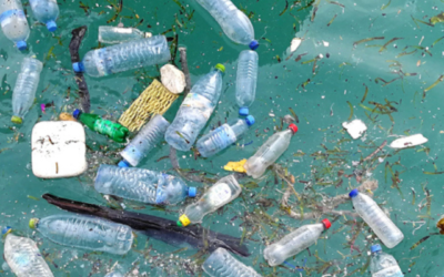 Milestone: GOT BAG Has Collected more than 1 million pounds of Plastic from the Ocean