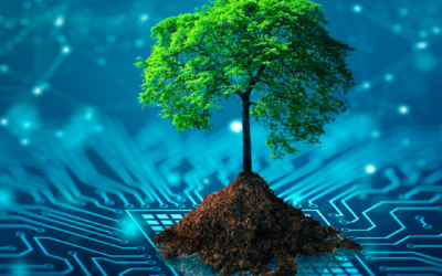 Can the Metaverse Shape a New Era of Sustainable Development?