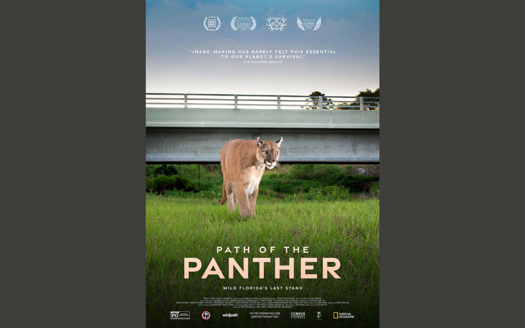 Wildpath and Grizzly Creek Films Announce Statewide Theatrical Release and Debut Trailer for ‘PATH OF THE PANTHER’