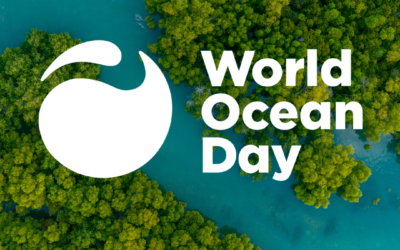 5 Sustainable Tips for Incorporating the Ocean into Your Everyday Life