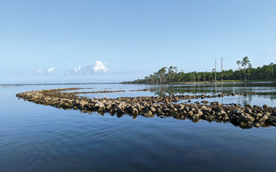 The Nature Conservancy Makes Recommendations to Accelerate the Restoration of Oysters in the Gulf of Mexico