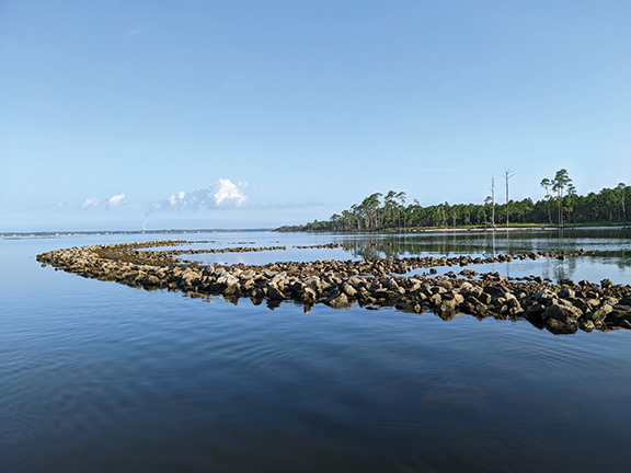 The Nature Conservancy Makes Recommendations to Accelerate the Restoration of Oysters in the Gulf of Mexico