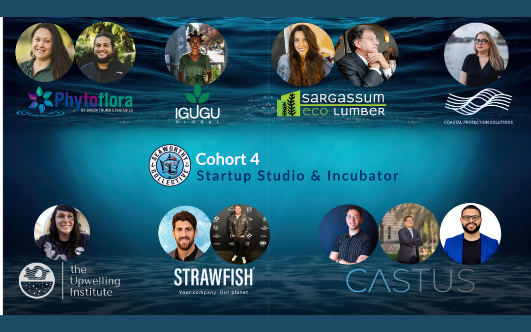 Empowering the BlueTech Future: Seaworthy Collective Announces its Fourth Cohort