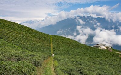 Dr. Brandon Featured in Forbes Magazine