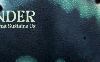 About World Ocean’s Day 2025