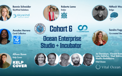 Seaworthy Collective Announces Sixth Cohort