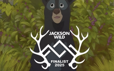 Florida Black Bears in the Spotlight: The Paper Bear Film Named Jackson Wild Finalist