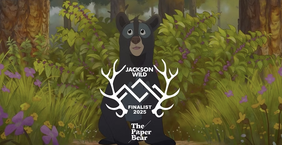 Florida Black Bears in the Spotlight: The Paper Bear Film Named Jackson Wild Finalist