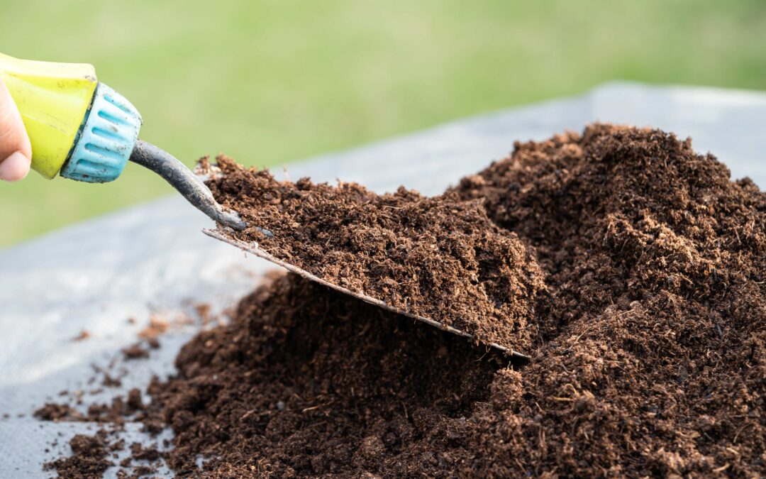 Bioforcetech and OurCarbon Featured in Martha Stewart