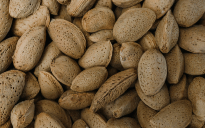 Bioforcetech Awarded BEAM Circular Business Innovation Grant