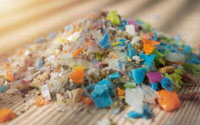 Microplastics Are Entering the Mainstream, and That Matters