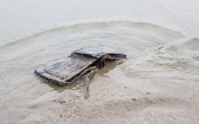 Why Your Wallet Should Care About Climate Change