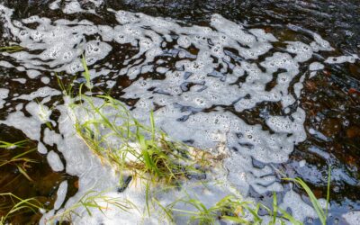 Across the Pond: What is the Impact of Agricultural Runoff on the UK’s Drinking Water Supply?