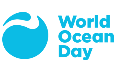 World Ocean Day 2026: Why Strong Marine Protected Areas Matter—and Why Stories Do Too