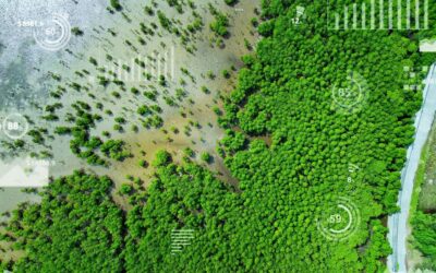EarthTalk®: Why Real-Time Pollution Tracking Matters