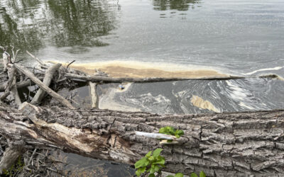 Dear EarthTalk: What’s new in the fight to get PFAS out of our drinking water and bloodstreams?